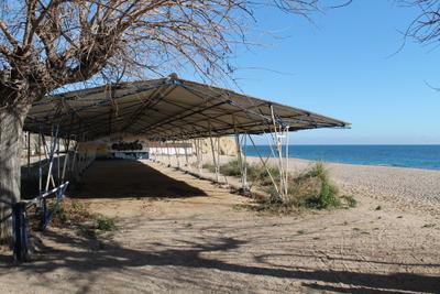 platjola