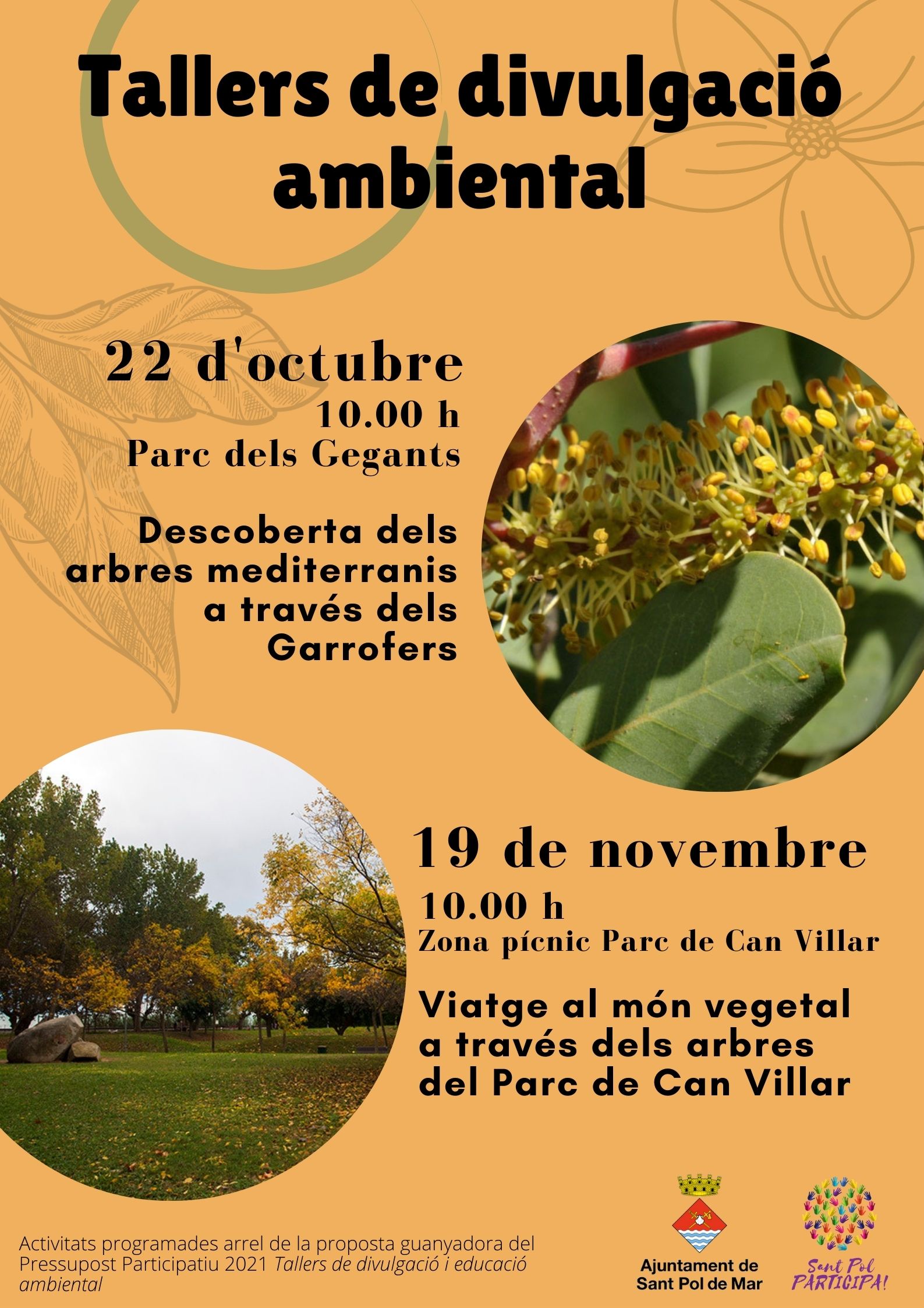 tallers divulgaci ambiental