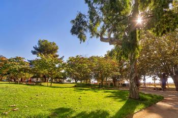 viles florides