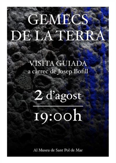 visita guiada expo