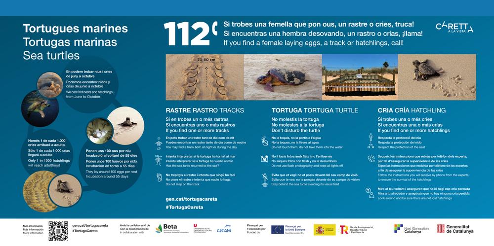 caretta