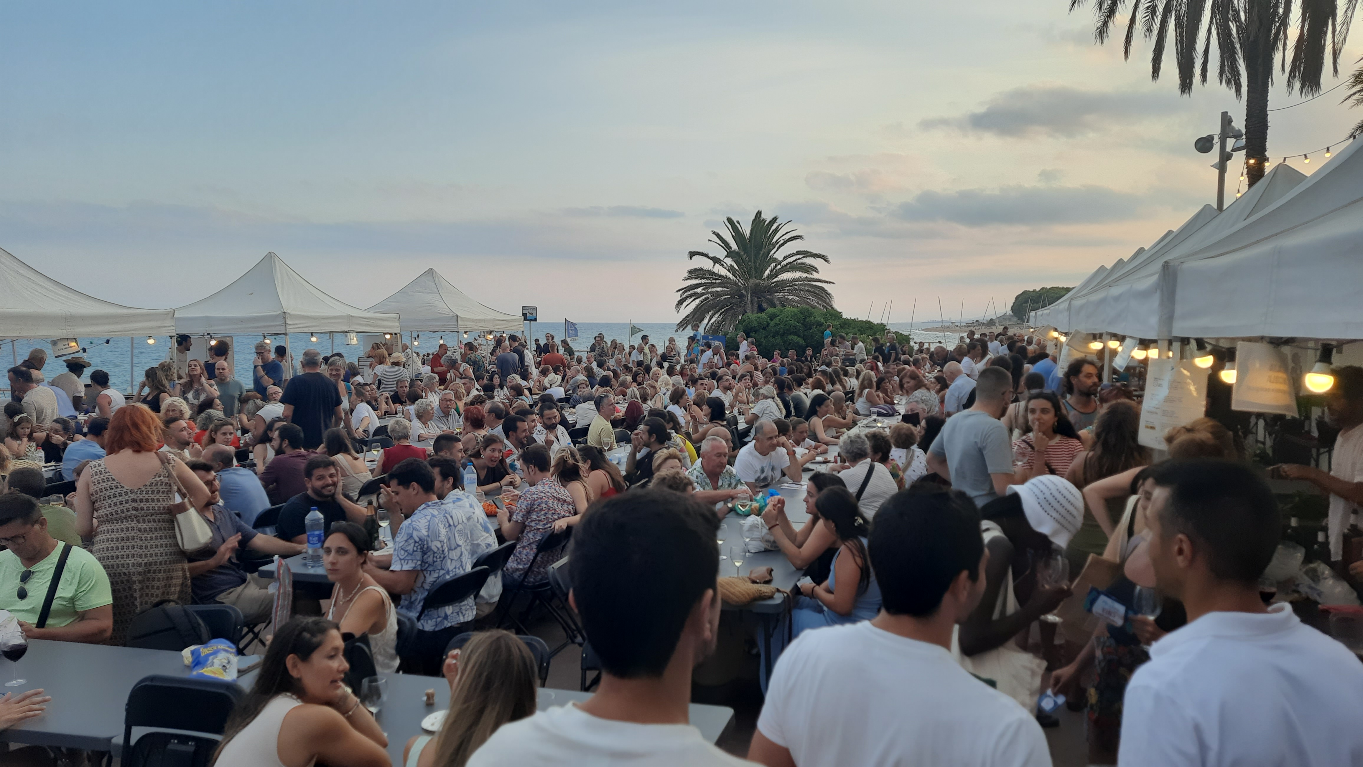 Àlbum de fotos de la 10a Mostra de Vins