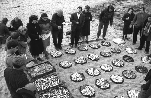 Foto: Arxiu Pere Sauleda